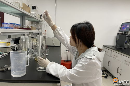環境科學與工程學院2024暑期社會實踐結束
