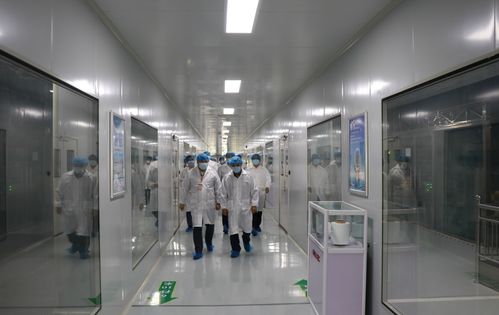 省第十一督查組到我區調研指導工作