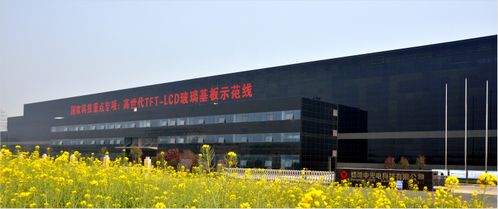科技戰 疫 ,產業保障