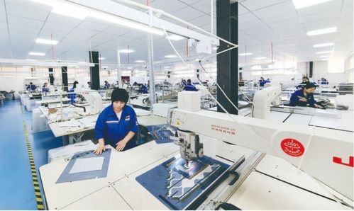 南樂縣打造集團化公司 致力新材料服裝研發 解決就業崗位