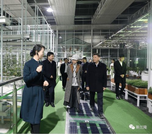 格力集團董事長董明珠來蘭陵縣考察
