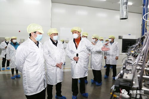 宣城海螺建筑光伏二期項目開工暨一期項目投產(chǎn)儀式舉行
