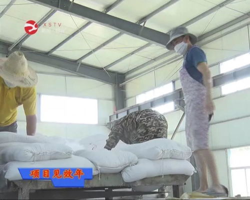 鐵木真地板 注重技術創新 推進品牌化建設