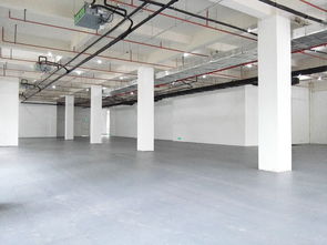 張江高科,一樓1170平辦公室,產品研發企業優選,層高5米,架空地板
