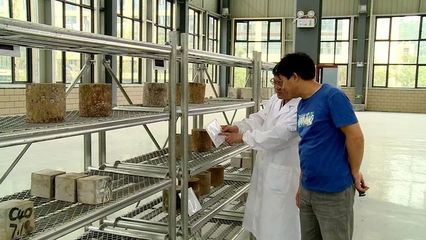 昌耀新材:攻破磷石膏利用難題 找到一片新“藍海”